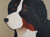 Berner_senner