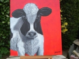 koe_in_rood