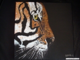 tijger