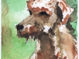 hond_mei06