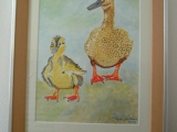 twee_eenden