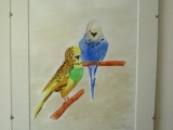 tweeparkieten